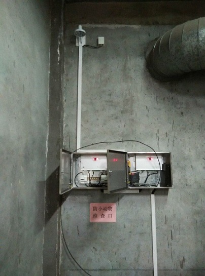 5c51153ad5334.jpg 528153604.jpg